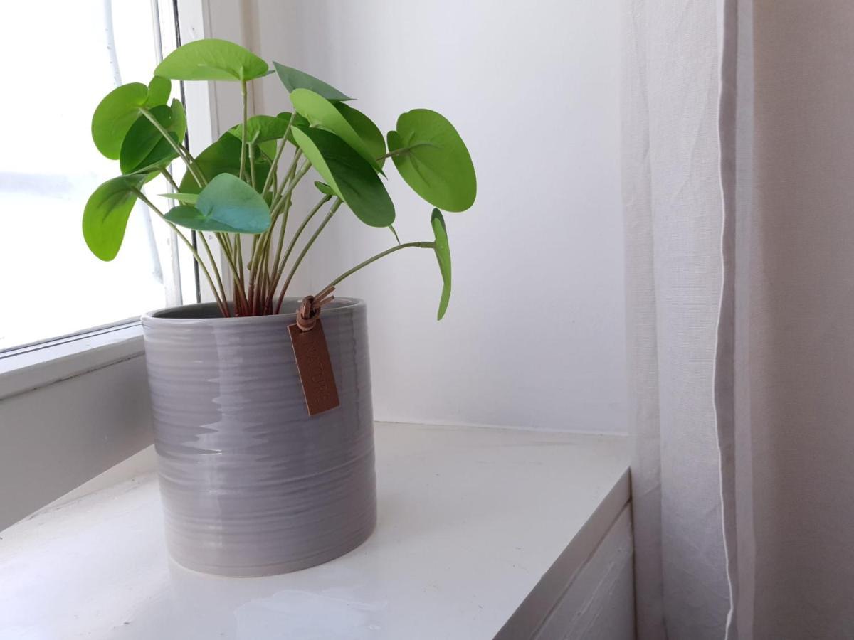 لوغانو Val Colla B&B المظهر الخارجي الصورة